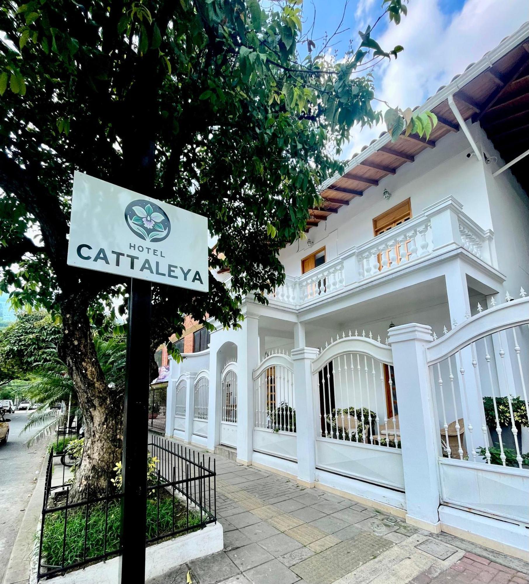 Hotel Cattaleya City Cali Exterior photo